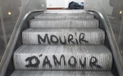 Le nouveau Houellebecq