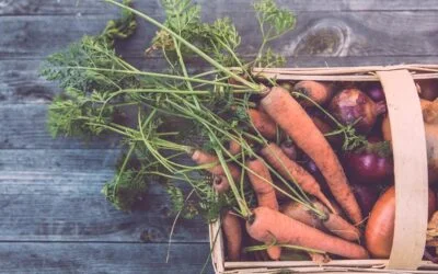 Choisissons notre alimentation