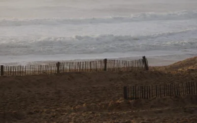 “D’un intellectuel résistant”