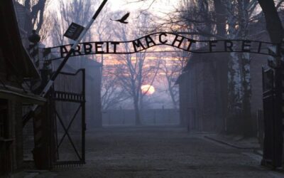 Se questo è un uomo