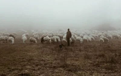 Nos « biens communs »